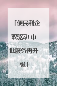 便民利企双驱动 审批服务再升级