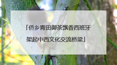 侨乡青田御茶飘香西班牙 架起中西文化交流桥梁