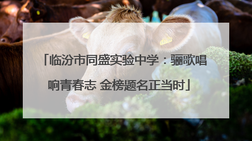 临汾市同盛实验中学：骊歌唱响青春志 金榜题名正当时