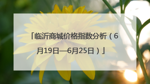临沂商城价格指数分析（6月19日—6月25日）