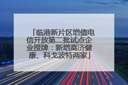 临港新片区增值电信开放第二批试点企业授牌：新增高济健康、科戈波特两家