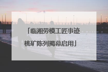 临湘劳模工匠事迹桃矿陈列揭幕启用