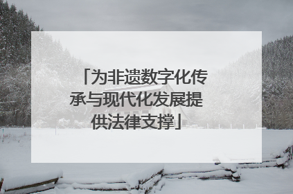为非遗数字化传承与现代化发展提供法律支撑