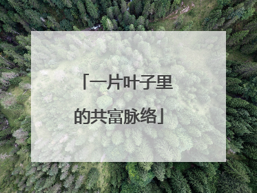 一片叶子里的共富脉络