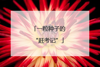 一粒种子的“赶考记”