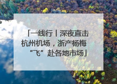 一线行丨深夜直击杭州机场，浙产杨梅“飞”赴各地市场