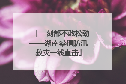 一刻都不敢松劲——湖南桑植防汛救灾一线直击
