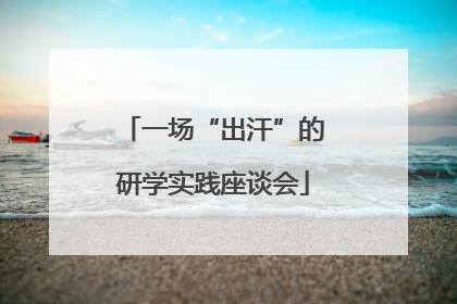 一场“出汗”的研学实践座谈会