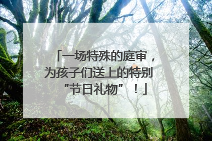 一场特殊的庭审，为孩子们送上的特别“节日礼物”！