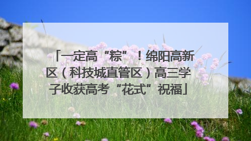 一定高“粽”！绵阳高新区（科技城直管区）高三学子收获高考“花式”祝福