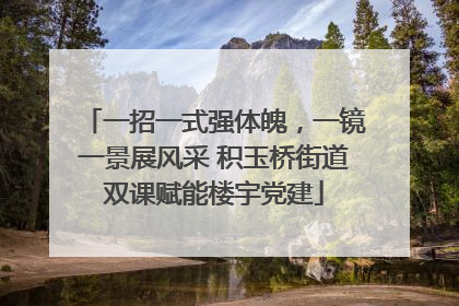 一招一式强体魄，一镜一景展风采 积玉桥街道双课赋能楼宇党建