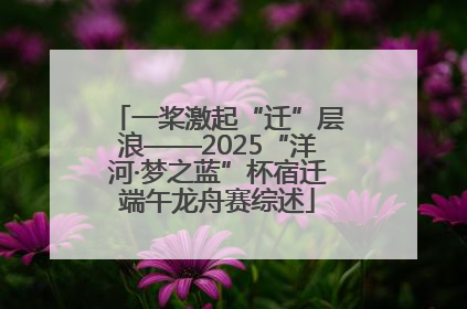 一桨激起“迁”层浪——2025“洋河·梦之蓝”杯宿迁端午龙舟赛综述
