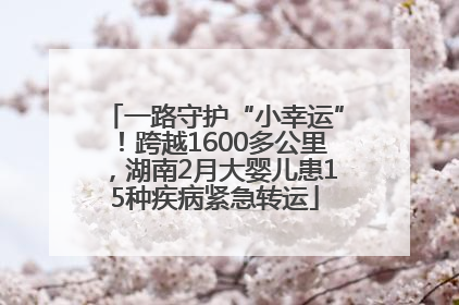 一路守护“小幸运”！跨越1600多公里，湖南2月大婴儿患15种疾病紧急转运