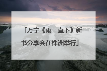 万宁《雨一直下》新书分享会在株洲举行