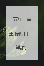 万年：霸王脆桃 口口鲜甜