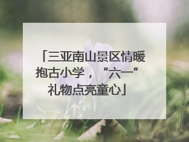 三亚南山景区情暖抱古小学，“六一”礼物点亮童心