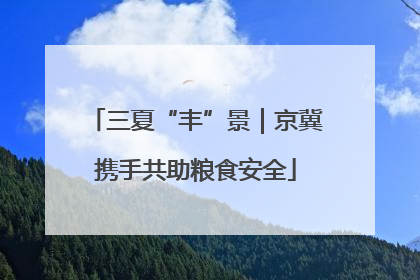 三夏“丰”景｜京冀携手共助粮食安全