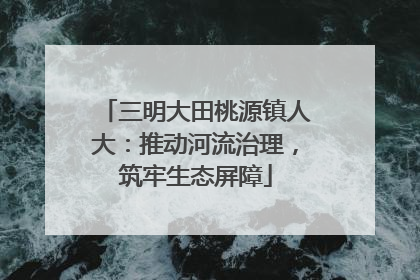 三明大田桃源镇人大：推动河流治理，筑牢生态屏障