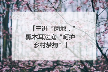 三进“菌地，”黑木耳法庭“呵护乡村梦想”