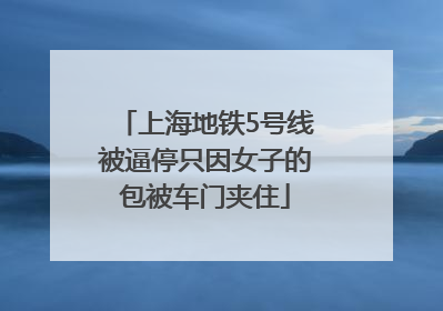 上海地铁5号线被逼停只因女子的包被车门夹住
