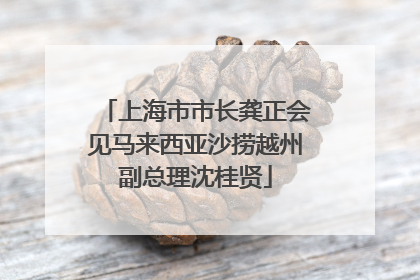 上海市市长龚正会见马来西亚沙捞越州副总理沈桂贤
