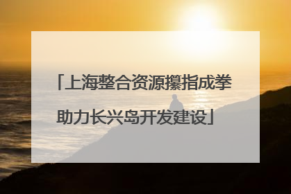 上海整合资源攥指成拳助力长兴岛开发建设