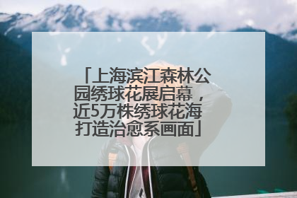上海滨江森林公园绣球花展启幕，近5万株绣球花海打造治愈系画面