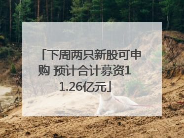 下周两只新股可申购 预计合计募资11.26亿元