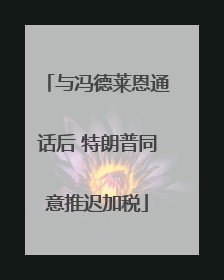 与冯德莱恩通话后 特朗普同意推迟加税