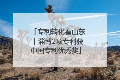专利转化看山东｜淄博2项专利获中国专利优秀奖