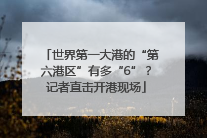 世界第一大港的“第六港区”有多“6”？记者直击开港现场