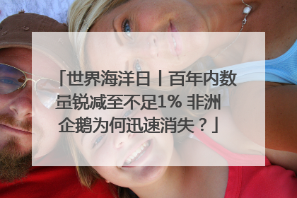 世界海洋日丨百年内数量锐减至不足1% 非洲企鹅为何迅速消失？