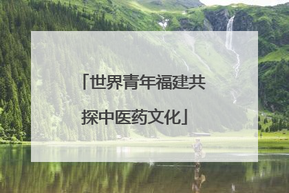 世界青年福建共探中医药文化