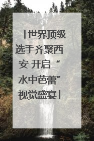 世界顶级选手齐聚西安 开启“水中芭蕾”视觉盛宴