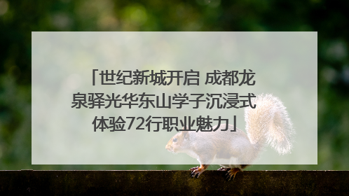 世纪新城开启 成都龙泉驿光华东山学子沉浸式体验72行职业魅力