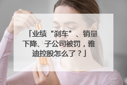 业绩“刹车”、销量下降、子公司被罚，雅迪控股怎么了？