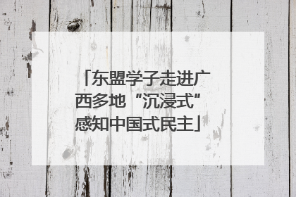 东盟学子走进广西多地“沉浸式”感知中国式民主