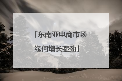 东南亚电商市场缘何增长强劲