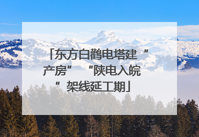 东方白鹳电塔建“产房” “陕电入皖”架线延工期