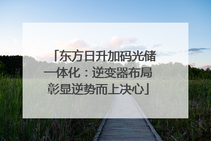 东方日升加码光储一体化：逆变器布局彰显逆势而上决心
