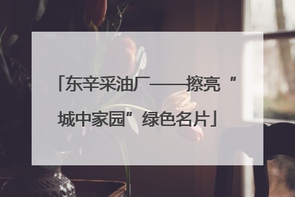 东辛采油厂——擦亮“城中家园”绿色名片