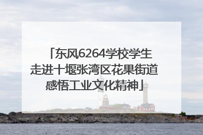 东风6264学校学生走进十堰张湾区花果街道感悟工业文化精神