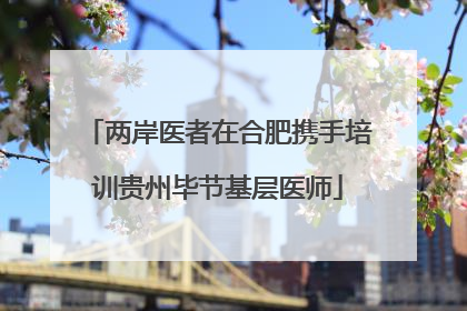 两岸医者在合肥携手培训贵州毕节基层医师