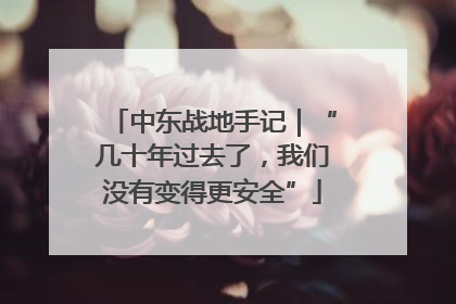 中东战地手记｜“几十年过去了，我们没有变得更安全”