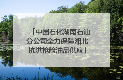 中国石化湖南石油分公司全力保障湘北抗洪抢险油品供应