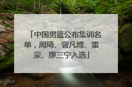 中国男篮公布集训名单，周琦、曾凡博、雷蒙、廖三宁入选