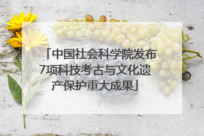 中国社会科学院发布7项科技考古与文化遗产保护重大成果