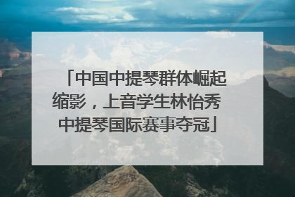 中国中提琴群体崛起缩影，上音学生林怡秀中提琴国际赛事夺冠