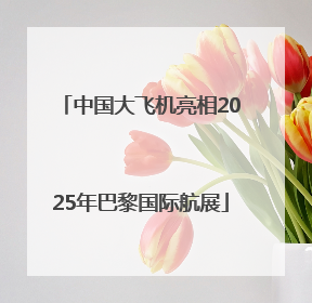 中国大飞机亮相2025年巴黎国际航展