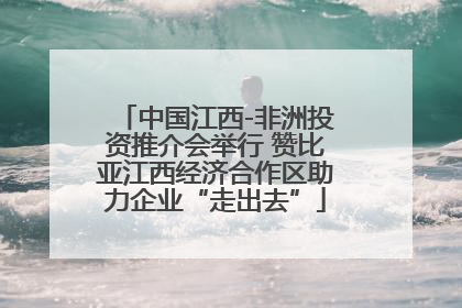 中国江西-非洲投资推介会举行 赞比亚江西经济合作区助力企业“走出去”